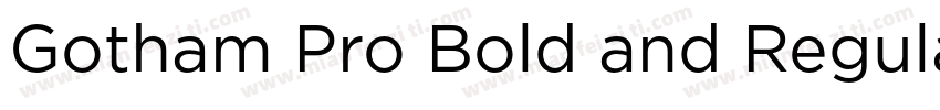 Gotham Pro Bold and Regular字体转换